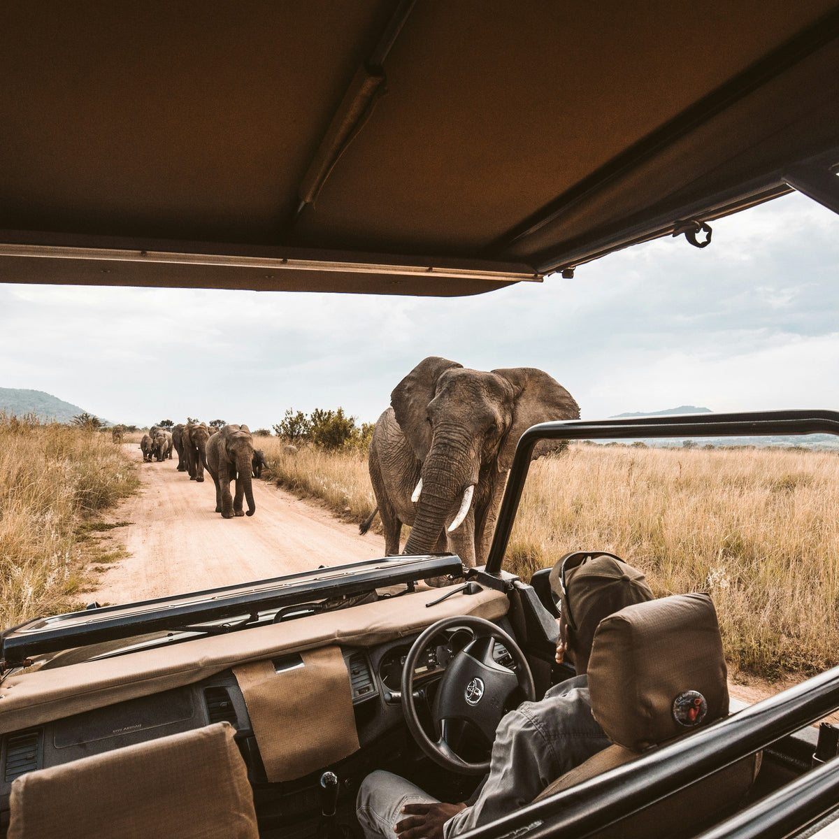 CREATE YOUR DREAM TRIP