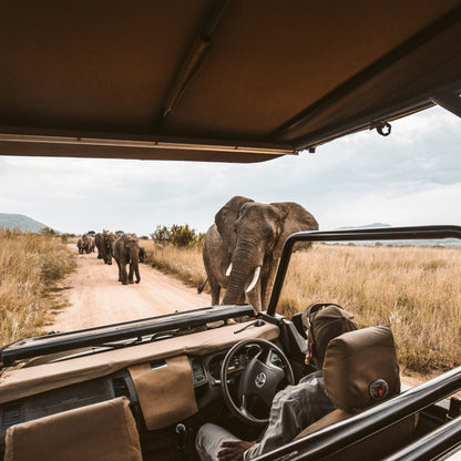 CREATE YOUR DREAM TRIP