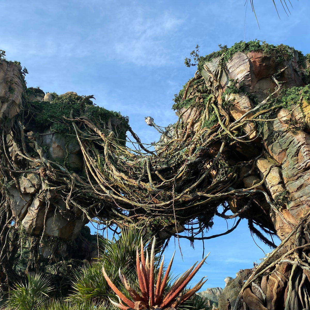 CHOOSE YOUR THEME PARK ADVENTURE