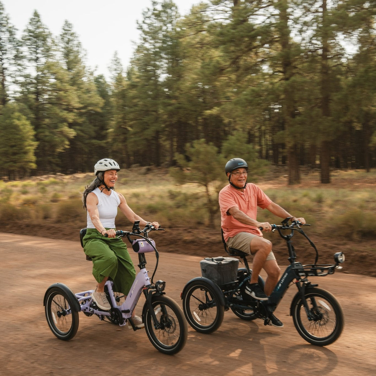 LECTRIC XP TRIKE 2 750W