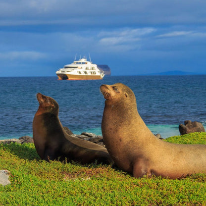 ISLAND OF DISCOVERY - FAMILY