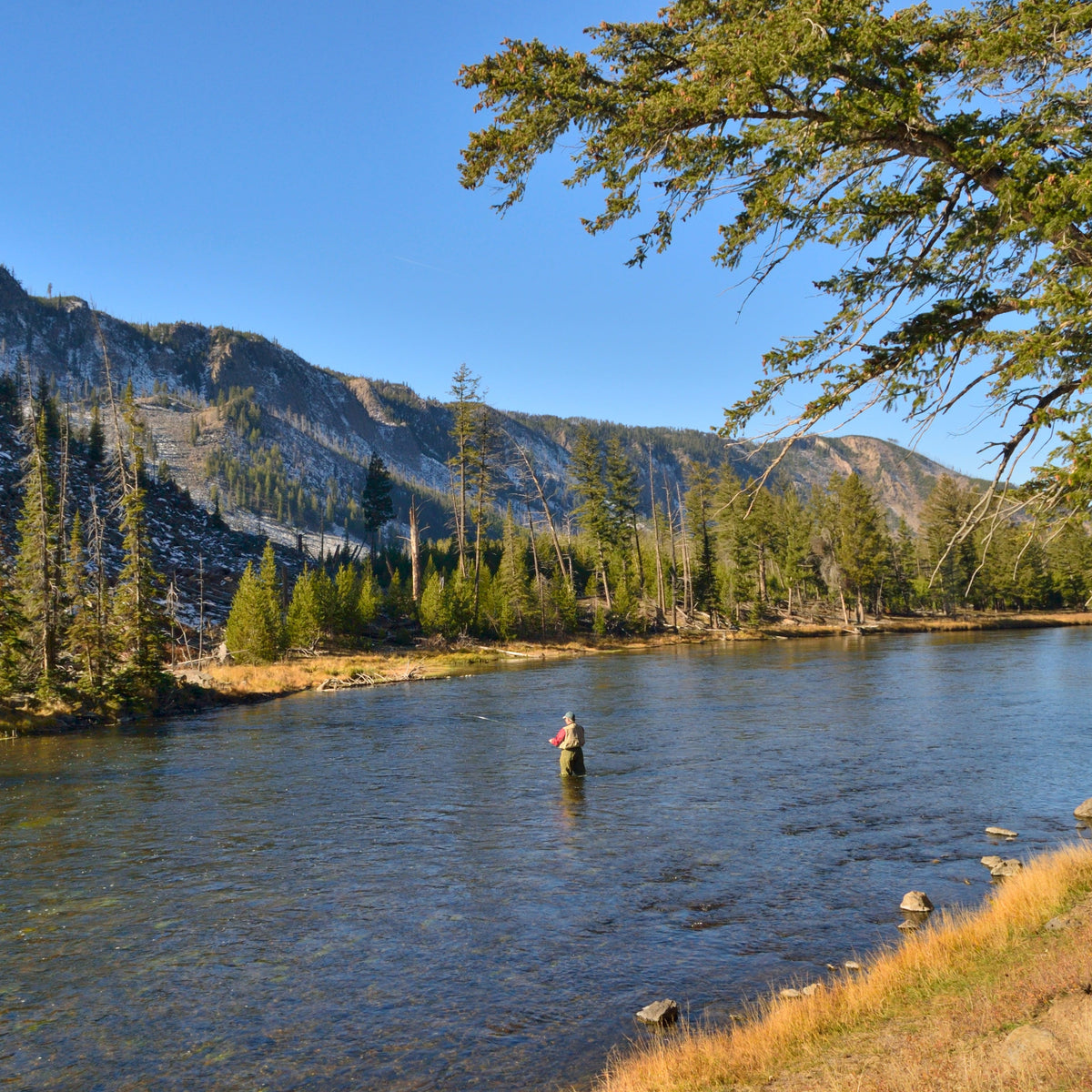 WILD WATERS AND WESTERN NIGHTS