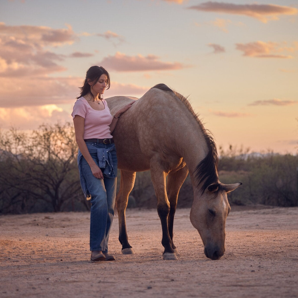 SONORAN DESERT WELLNESS ESCAPE FOR TWO
