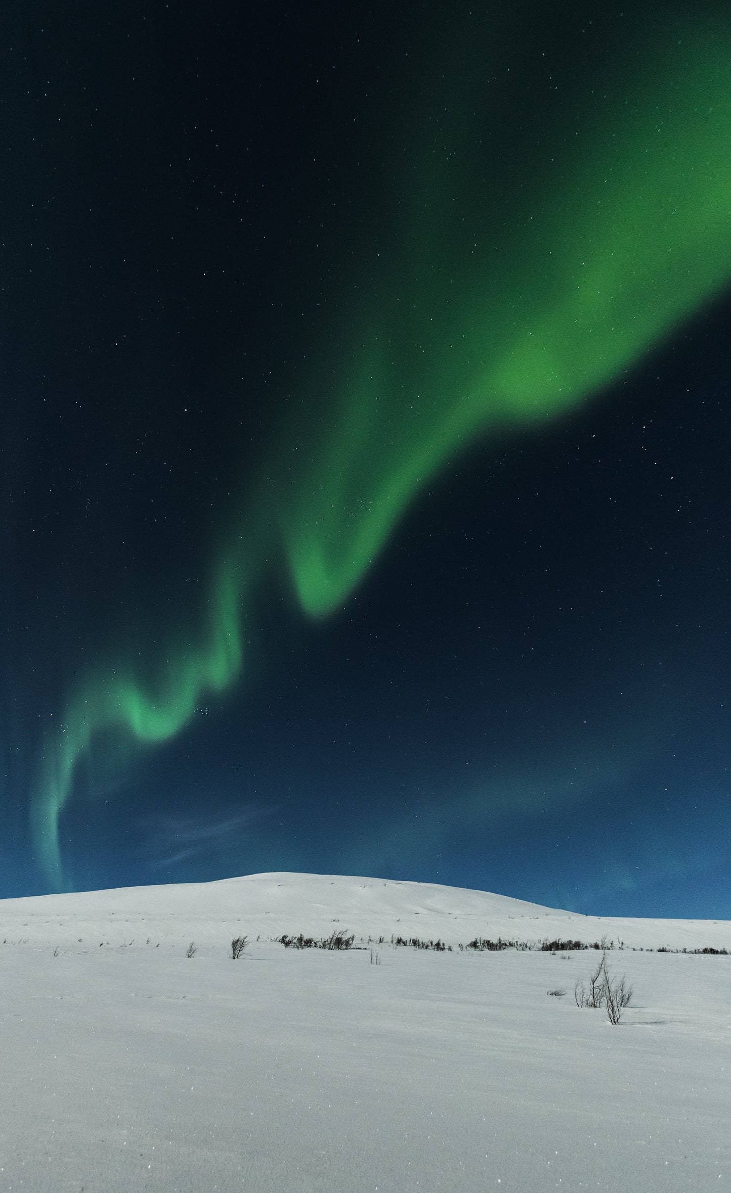 BENEATH THE NORTHERN LIGHTS