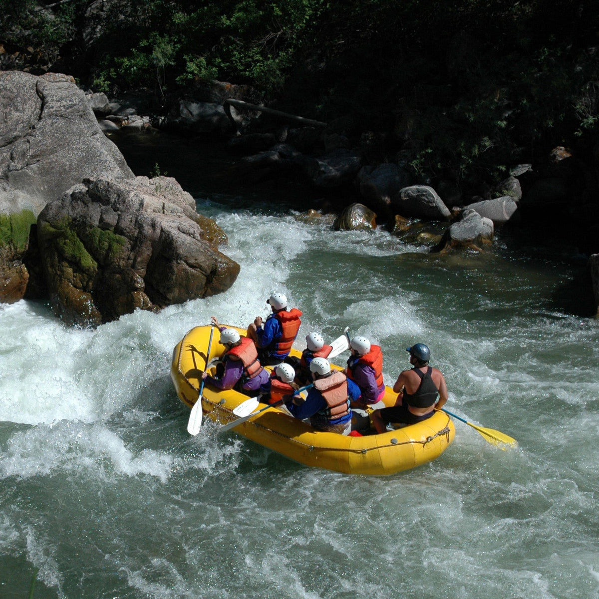 EXPERIENCES & TRIPS