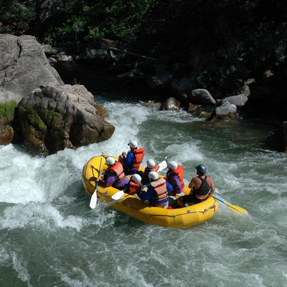 EXPERIENCES & TRIPS