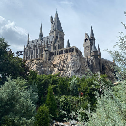 CHOOSE YOUR THEME PARK ADVENTURE
