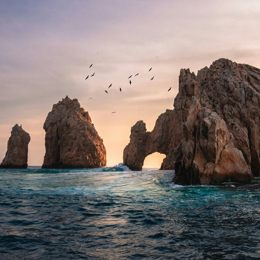 CABO CALLING: FAMILIES