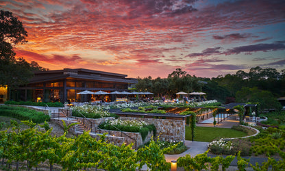 JOURNEY THROUGH THE VINEYARD