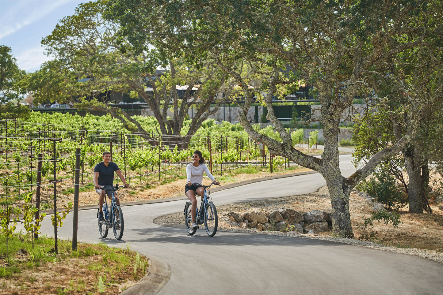 JOURNEY THROUGH THE VINEYARD