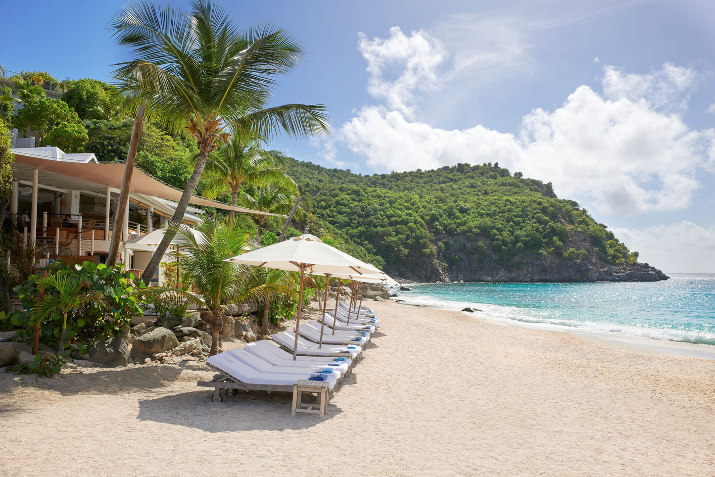 ISLAND INDULGENCE