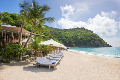 ISLAND INDULGENCE